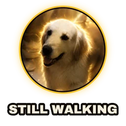 Still walking