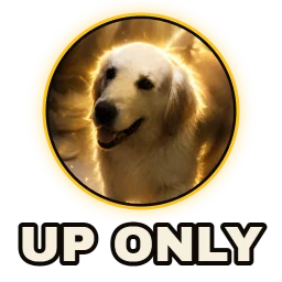 Up only